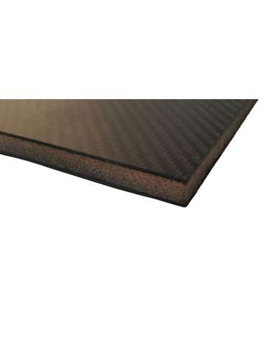 Carbon fiber sandwich plate with inner core -